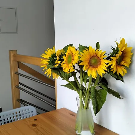 Sielska Dolina Pod Sleza Daire