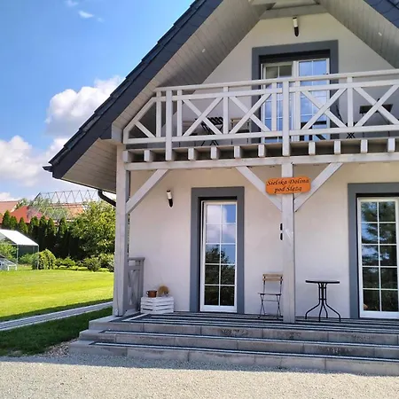 Sielska Dolina Pod Sleza Apartment Myslakow