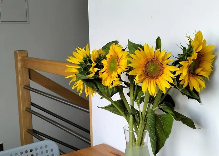 Sielska Dolina Pod Sleza Apartment